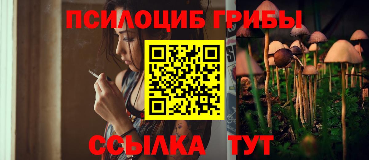 Гусиноозёрск  Псилоцибиновые грибы Psilocybe  Вход с VPN  Галлюциногенные грибы GOLDEN TEACHER 